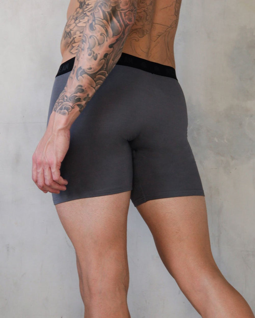 Everyday Boxer Briefs - 5"-Charcoal-Back--Zach---L