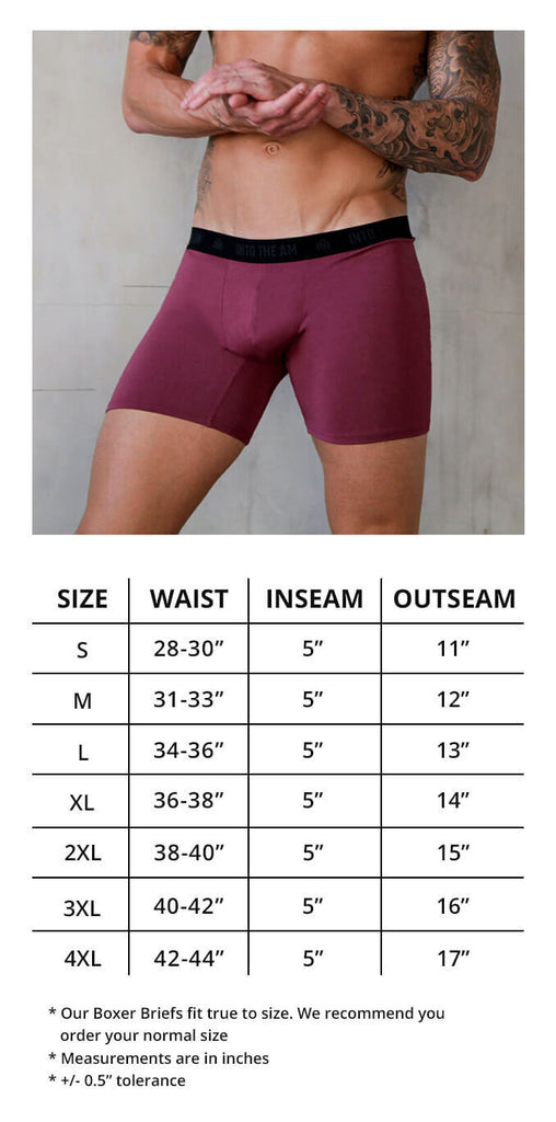 Everyday Boxer Briefs 5" INTO THE AM