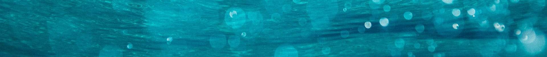 Swim Trunks