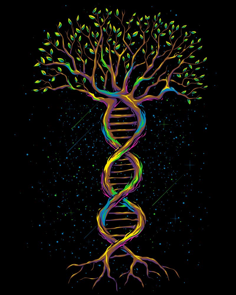 Tree of Life Tee-Black-Regular-Swatch--Tom---M
