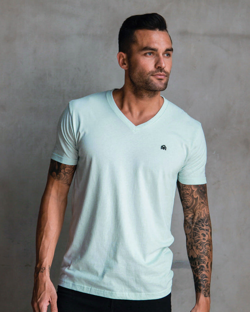 Basic V-Neck Tee-Light Blue-Front--Zack---L